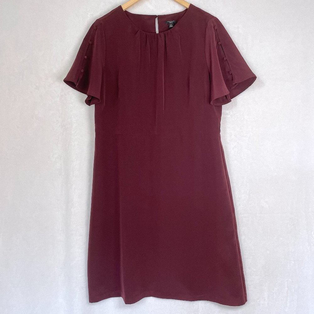 NWT Ann Taylor Factory A-Line Dress with Button Detail